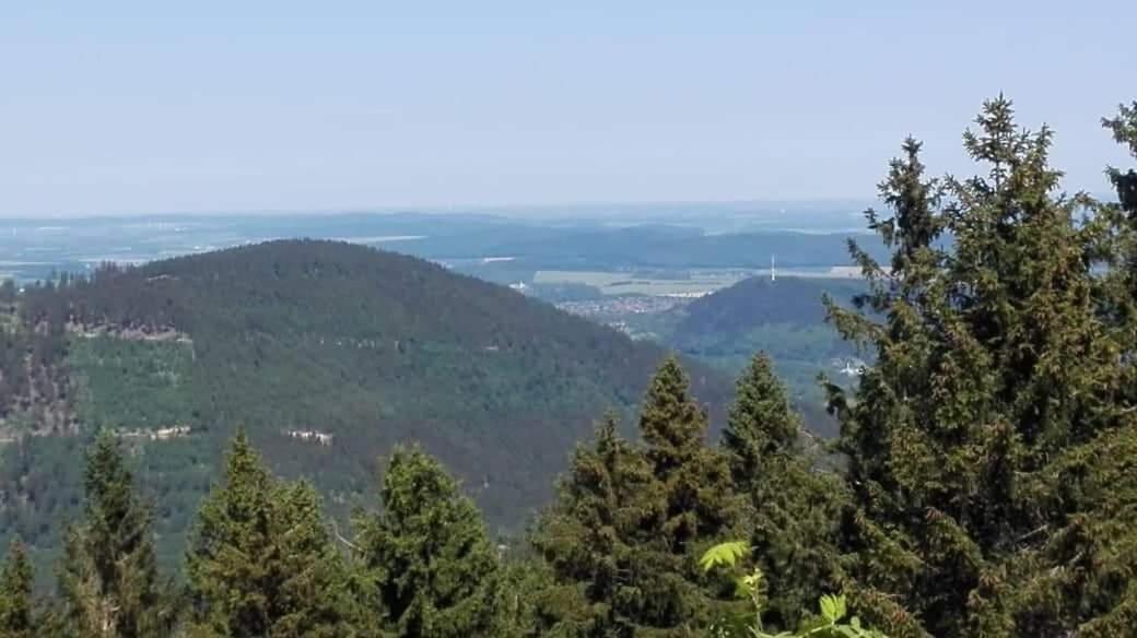 Harzlich Appartement Altenau  Buitenkant foto
